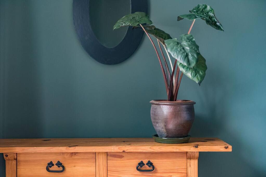 Heritage Cottage - Charming And Stylish Home With Lovely Garden Walmer Bagian luar foto